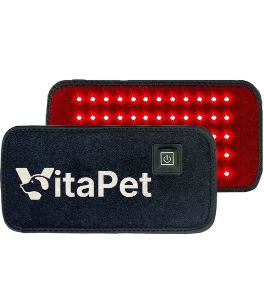 VitaPet — Tapis de Lumière Rouge