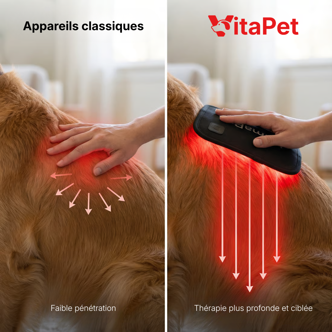Comparatif : appareils classiques vs VitaPet