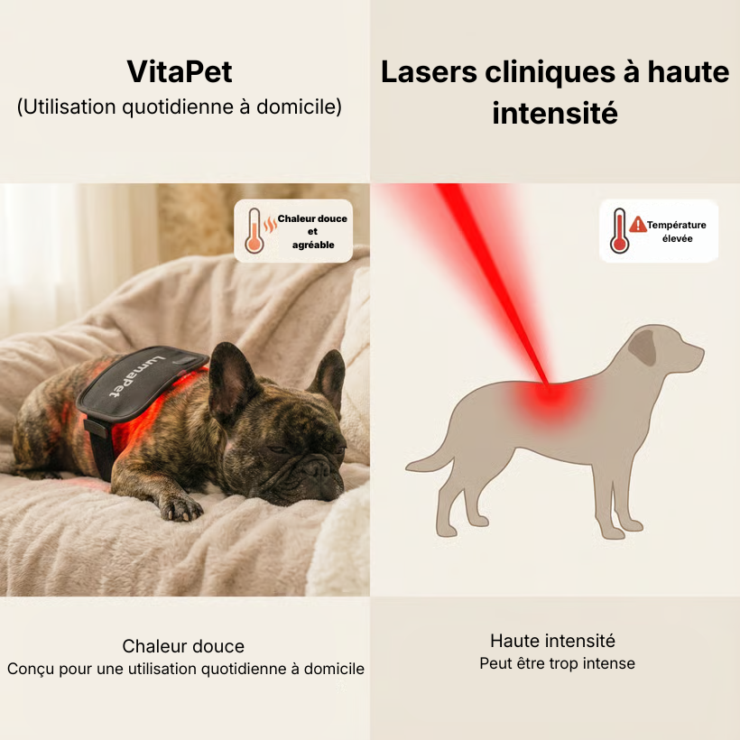 Comparatif : VitaPet vs lasers cliniques